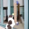 Pet Life 'Stick N' Claw' Sisal Rope and Toy Suction Cup Stick Shaped Cat Scratcher