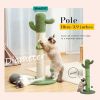 Cactus Cat Tree Cat Scratcher with Sisal Scratching Post and Interactive Dangling Ball For Indoor Cats White