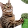 (Do Not Sell on Amazon) Cat Scratching Post Cactus Cat Scratcher Featuring with 3 Scratching Poles and Interactive Dangling Ball XH